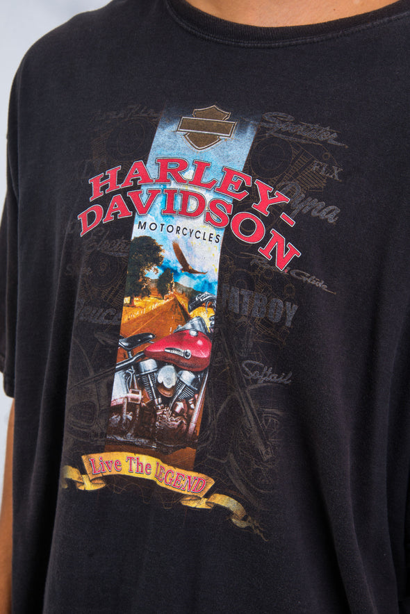 Vintage Harley Davidson Cajun T-Shirt