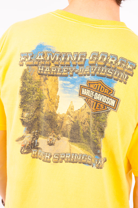 Vintage Harley Davidson Rock Springs T-Shirt