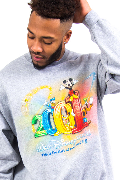 Y2K Disney World 2001 Sweatshirt